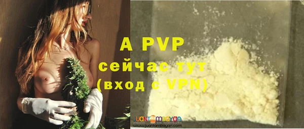 стаф Бугульма