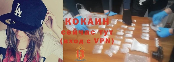 твердый Бронницы