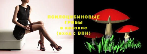 стаф Бугульма