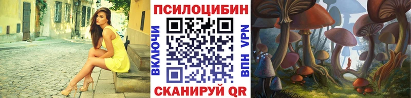 наркошоп  Вилюйск  Псилоцибиновые грибы GOLDEN TEACHER 